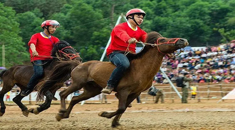 Đua Ngựa AZBET88: Bí Mật Cược Hay, Trúng Lớn Không Ai Nói Bạn